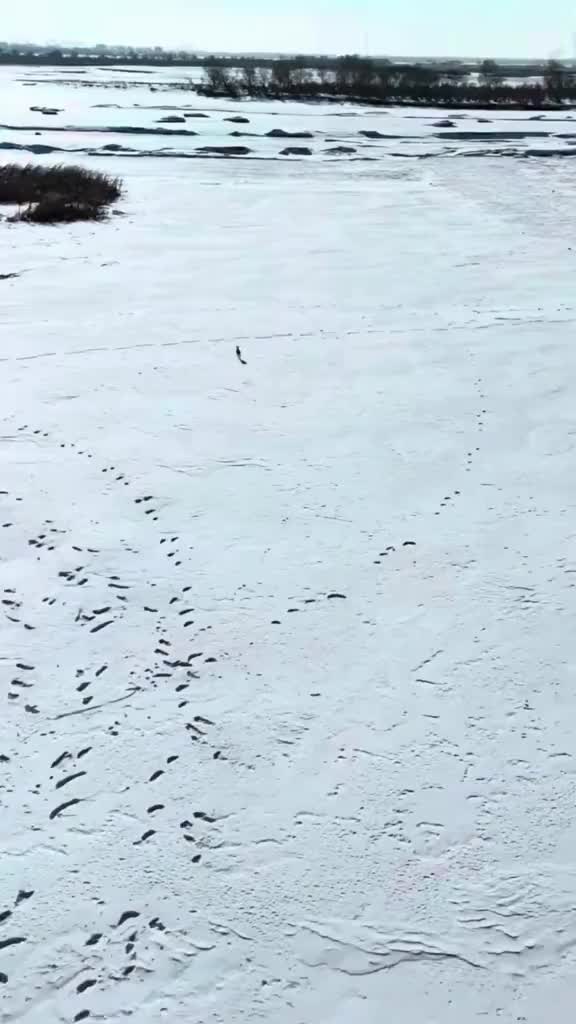 @Ахиллес-55.