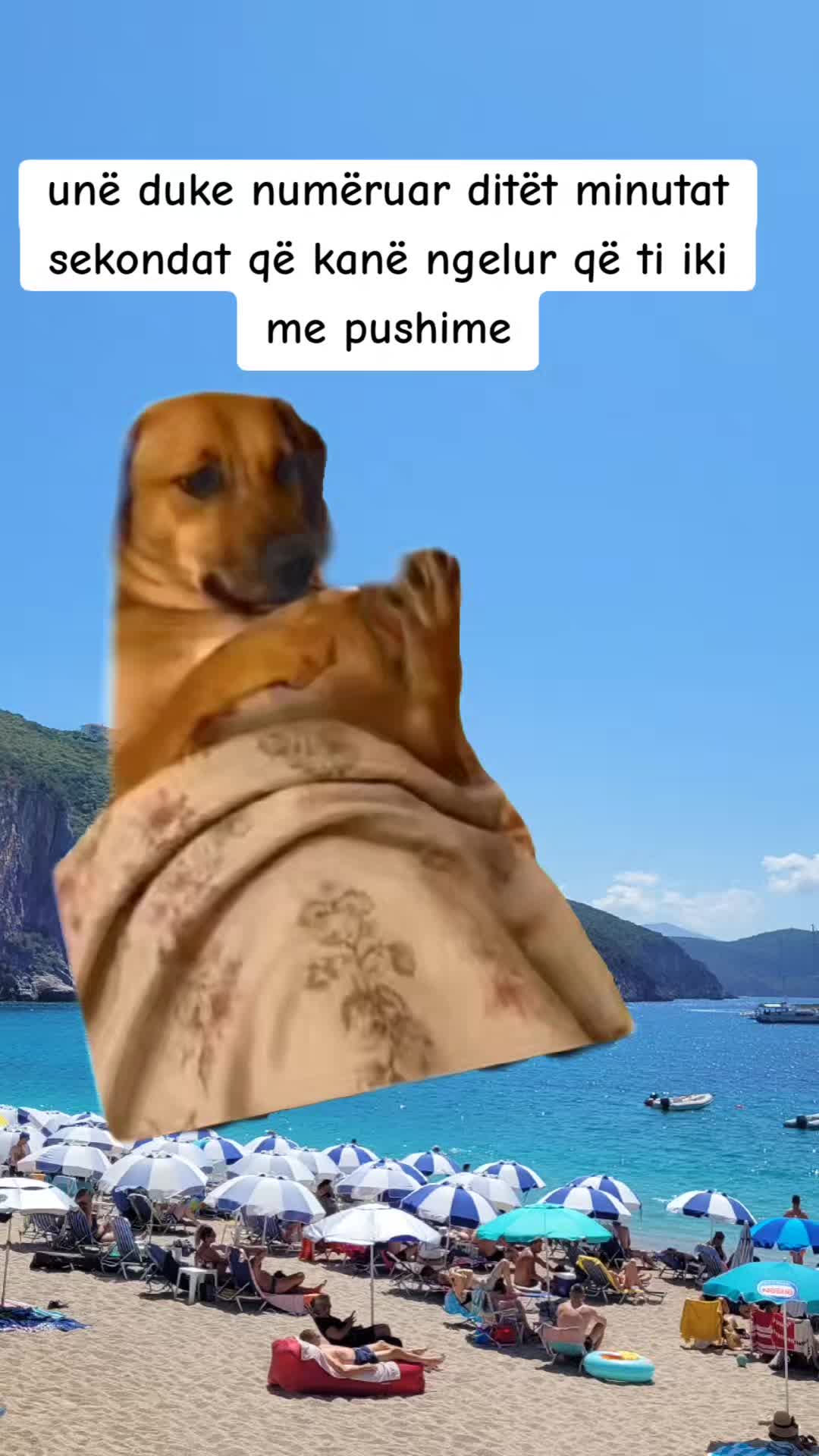 @✨️