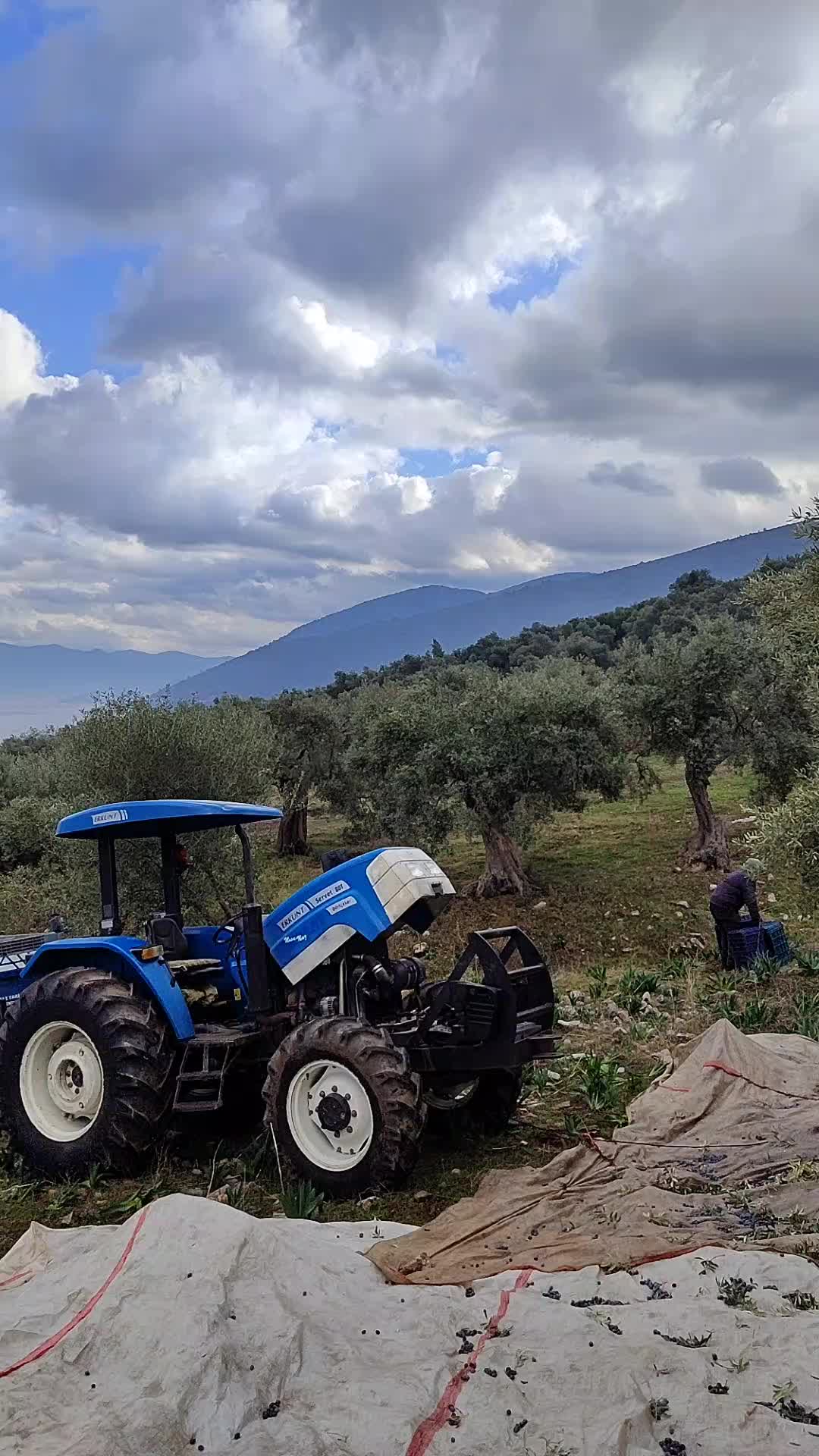 @Yiğit