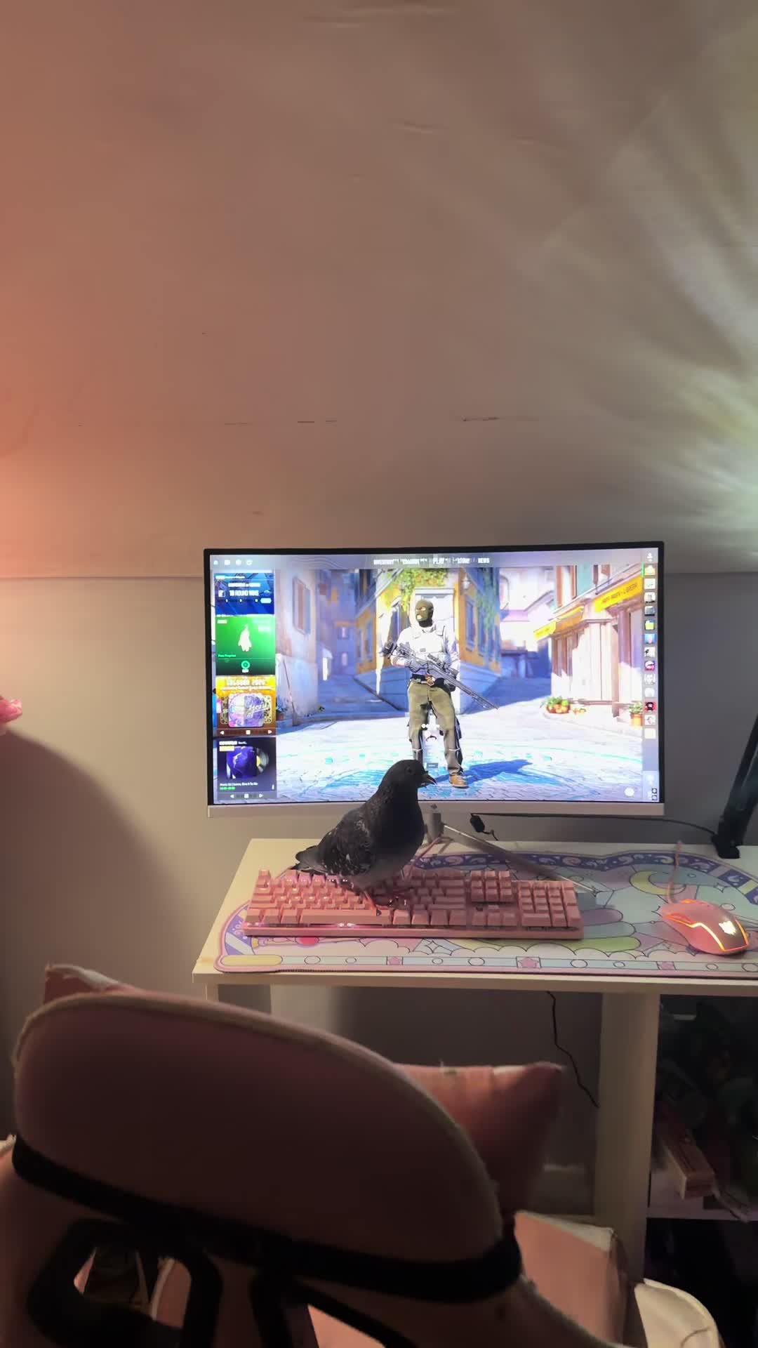 @Nekobutts 🐦