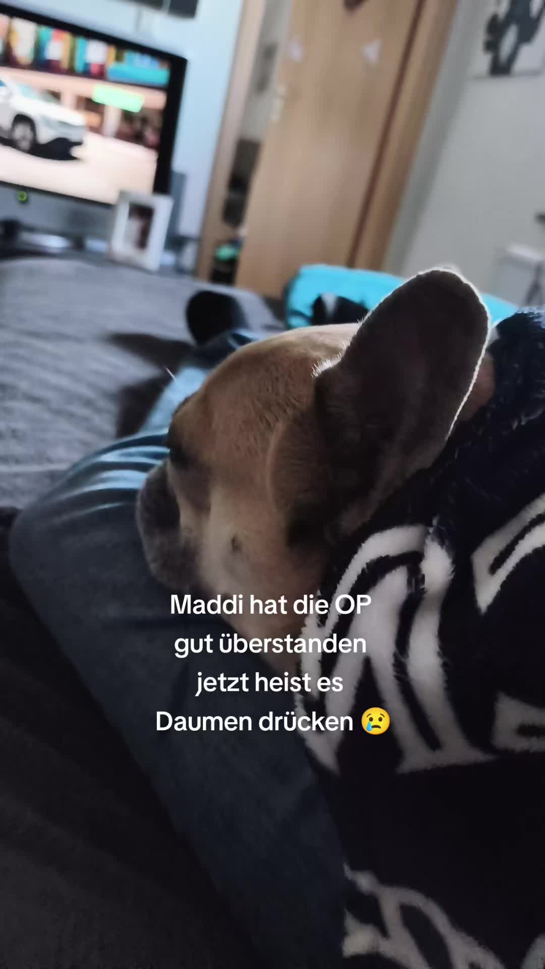 @&reg;️Team MaddiTv &reg;️