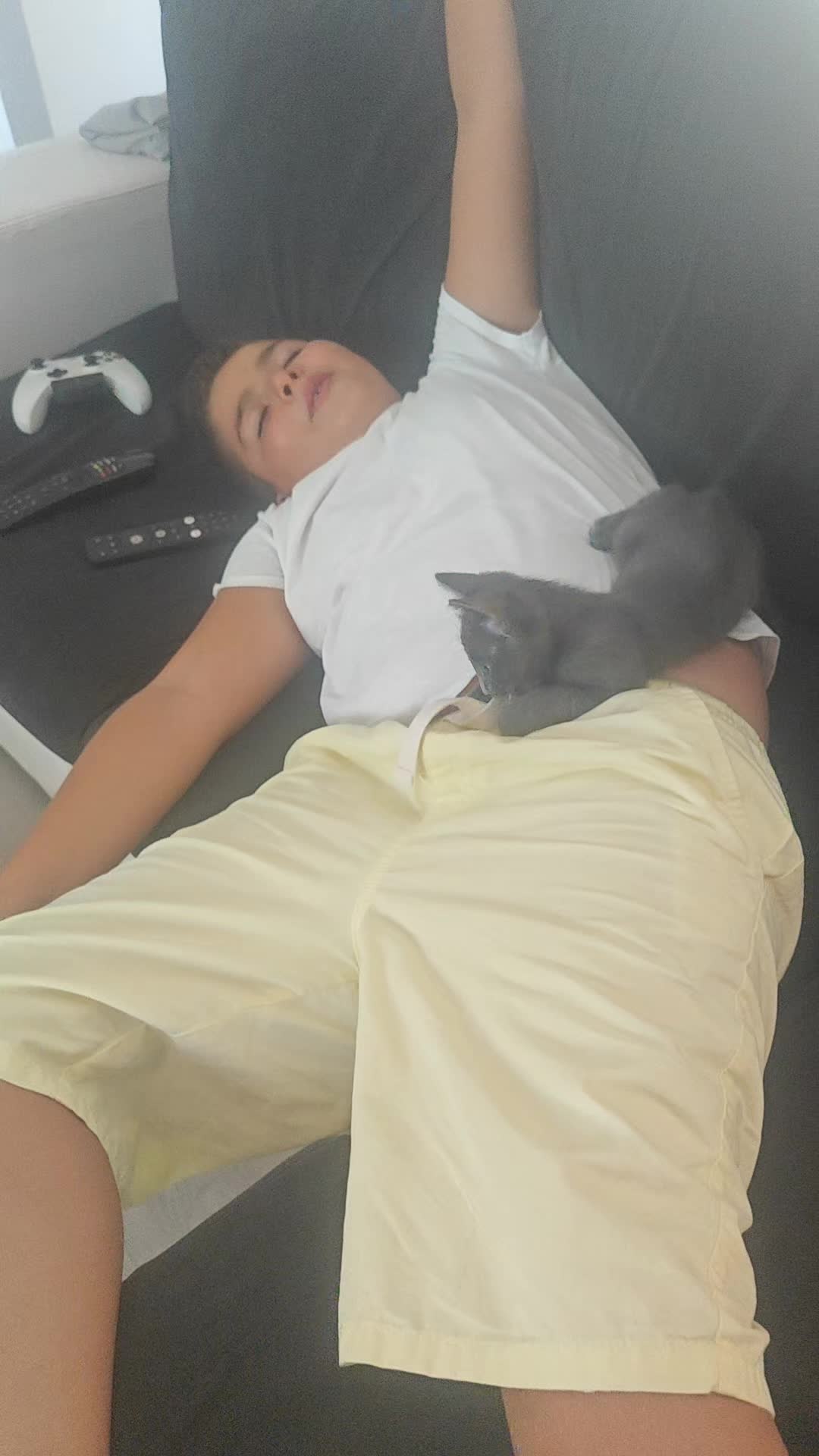 @Catia Silva