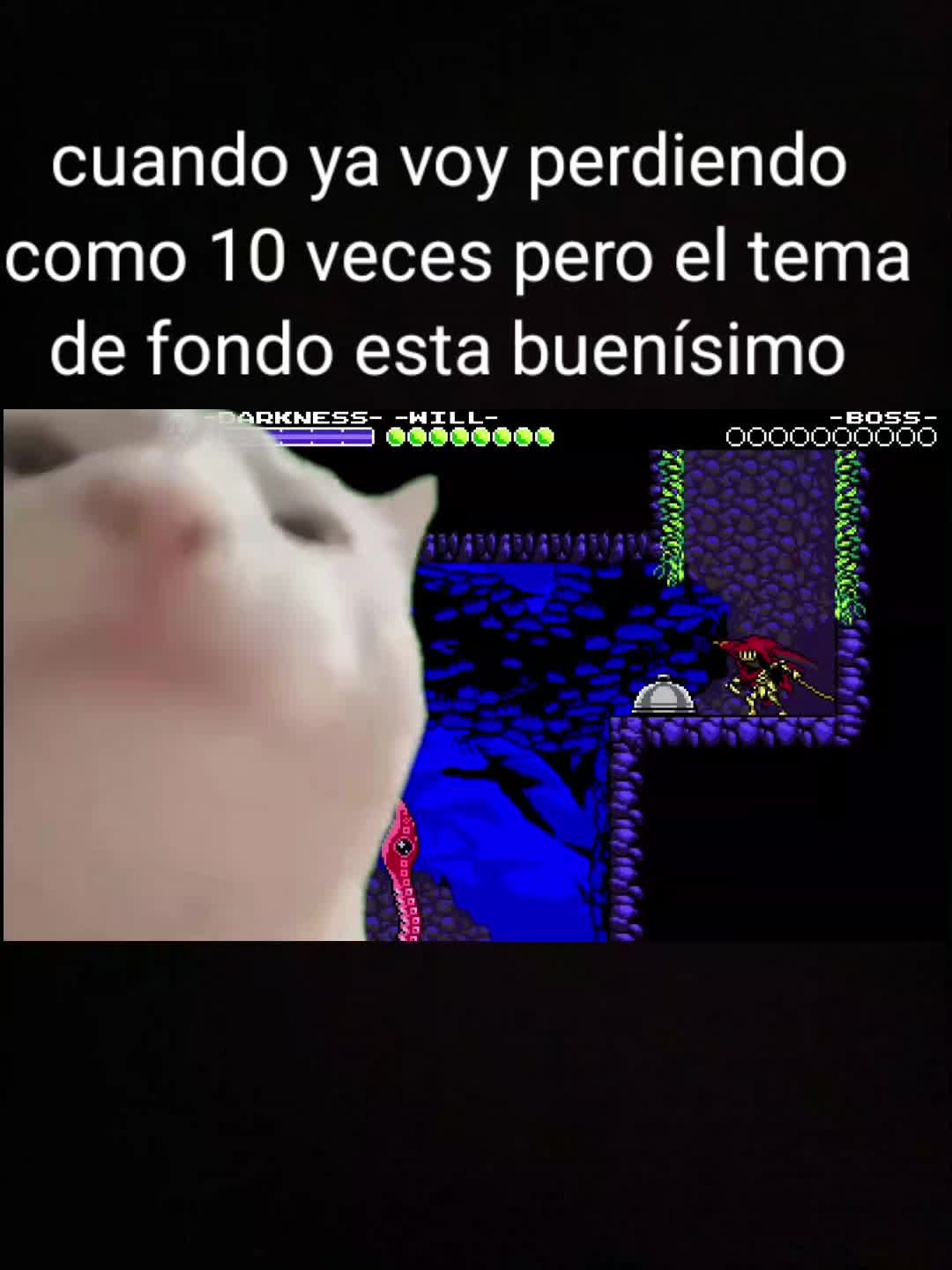 @Roki2578