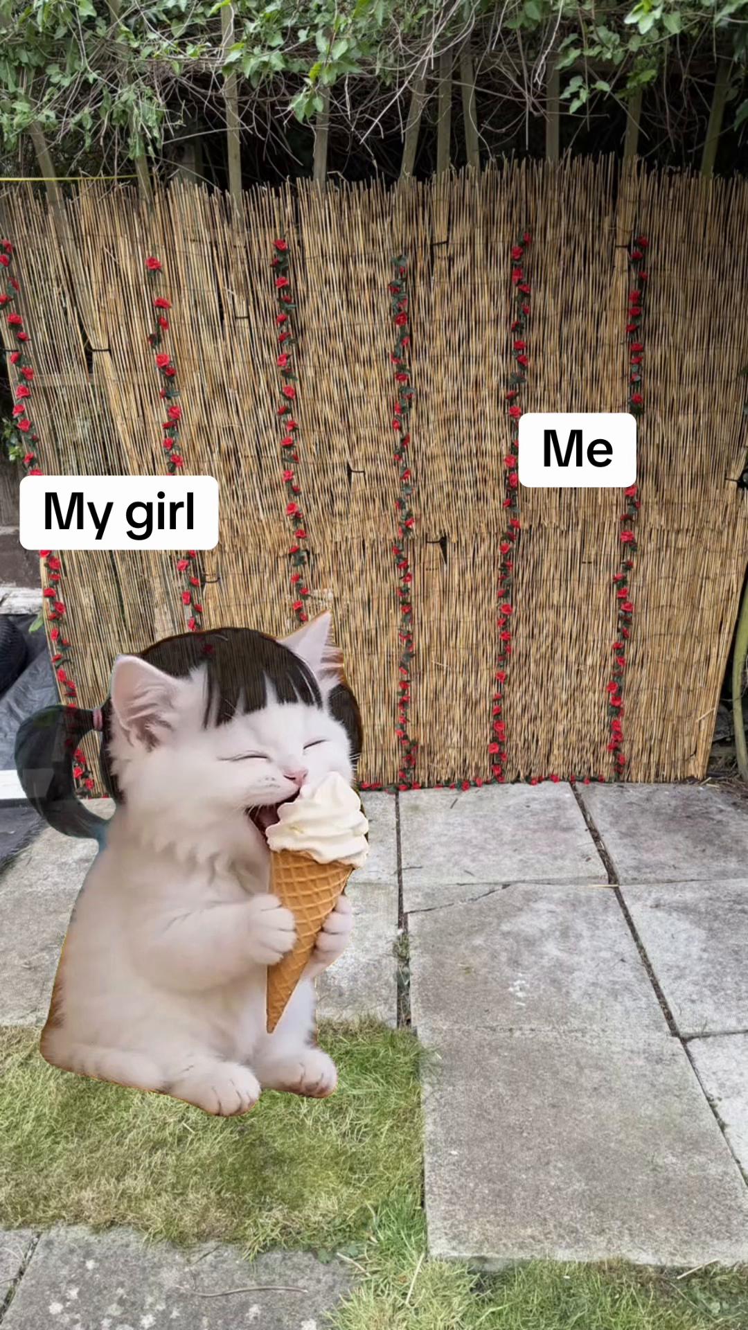 @gemma