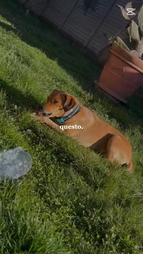 @Stefano