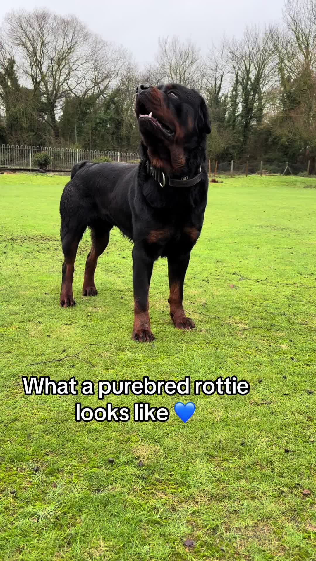 @Bruce&kali