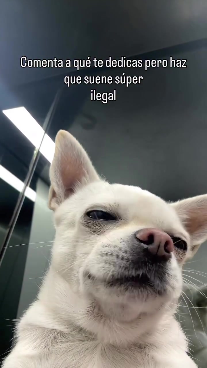 @incivilizao