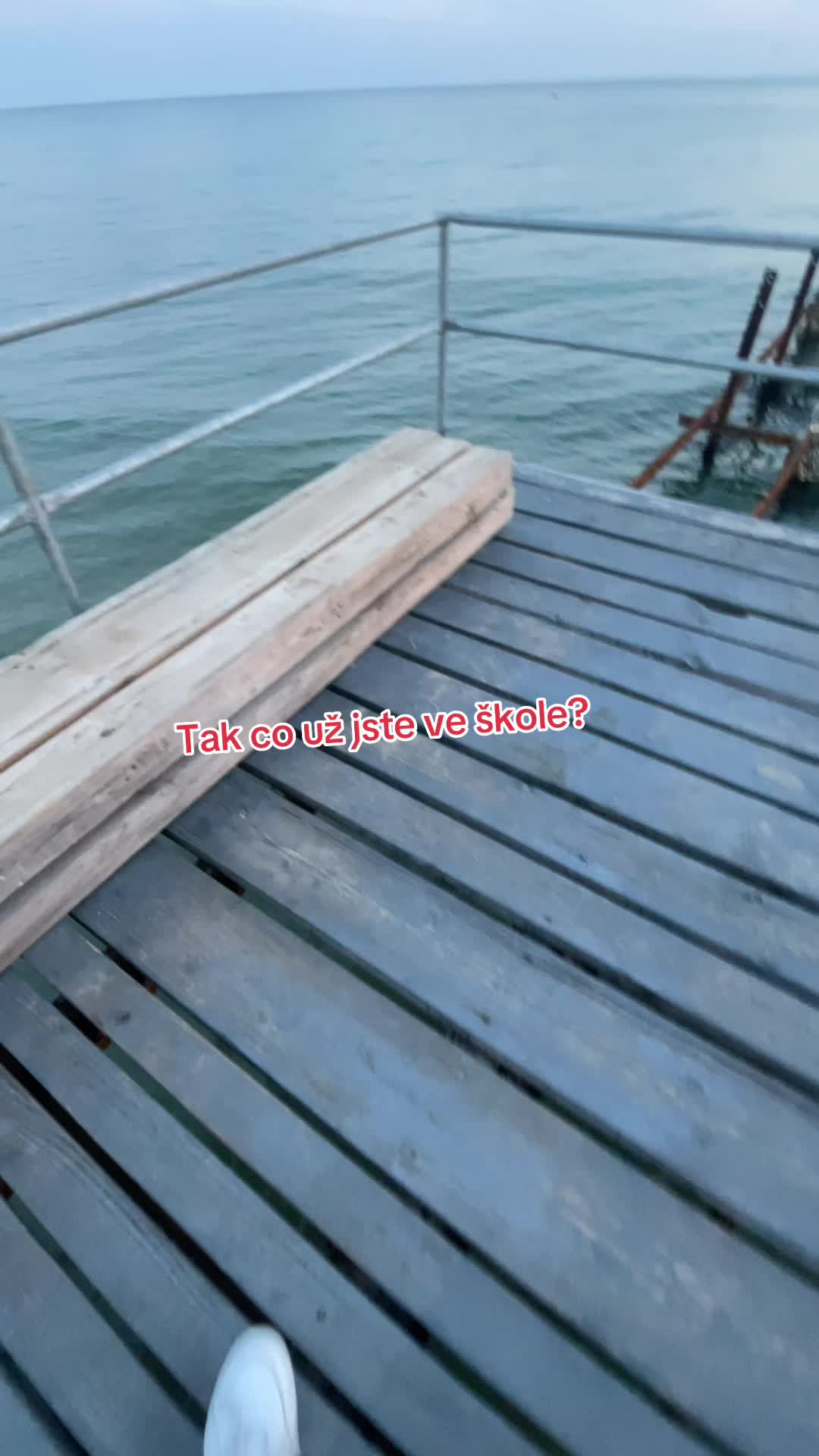 @t_morvis_b
