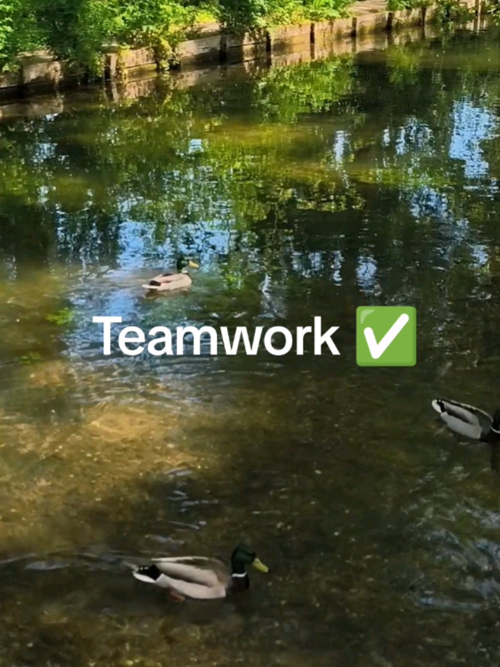 @Teamwork
