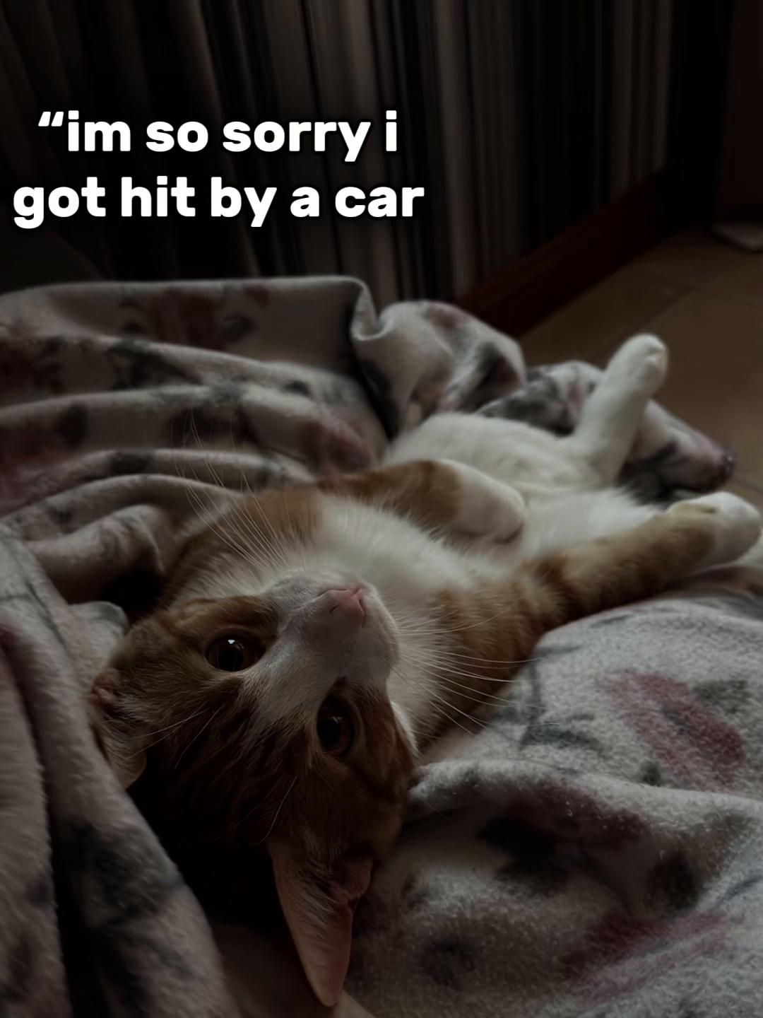 @️
