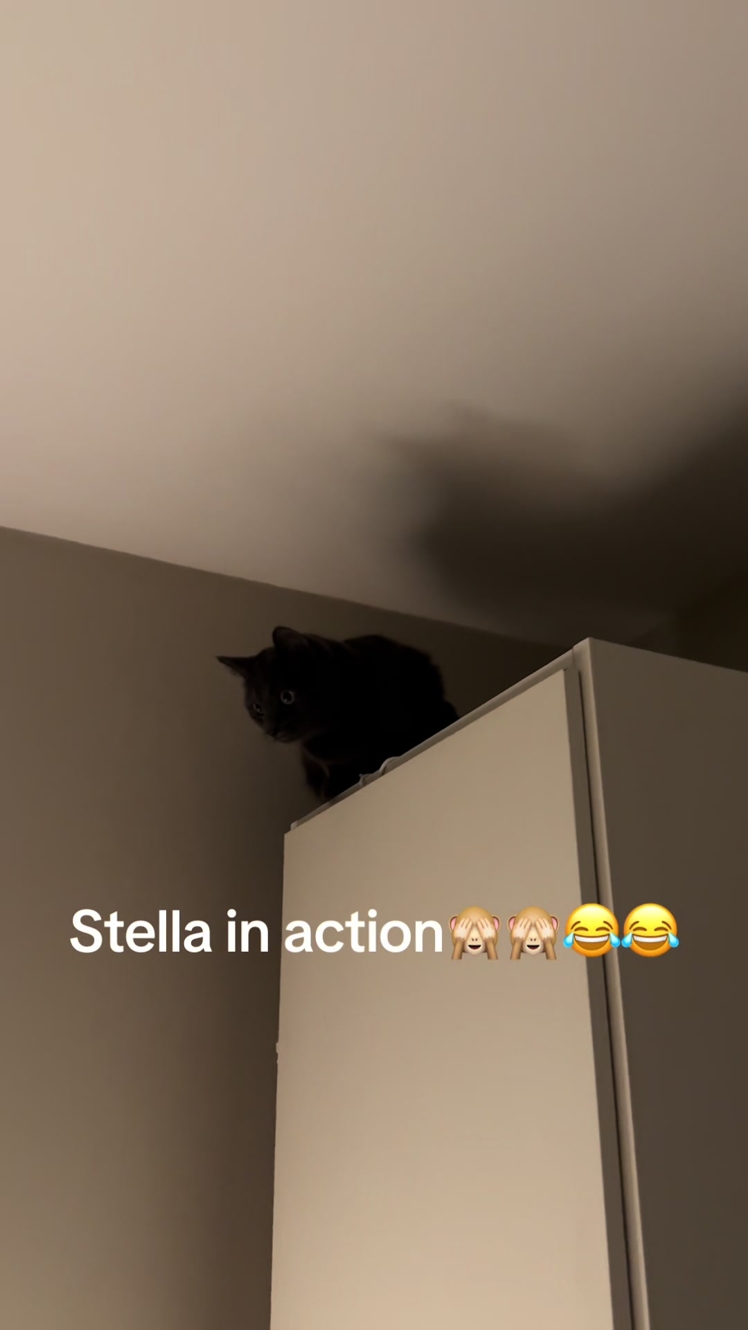 @Linda Prytz951🇸🇪