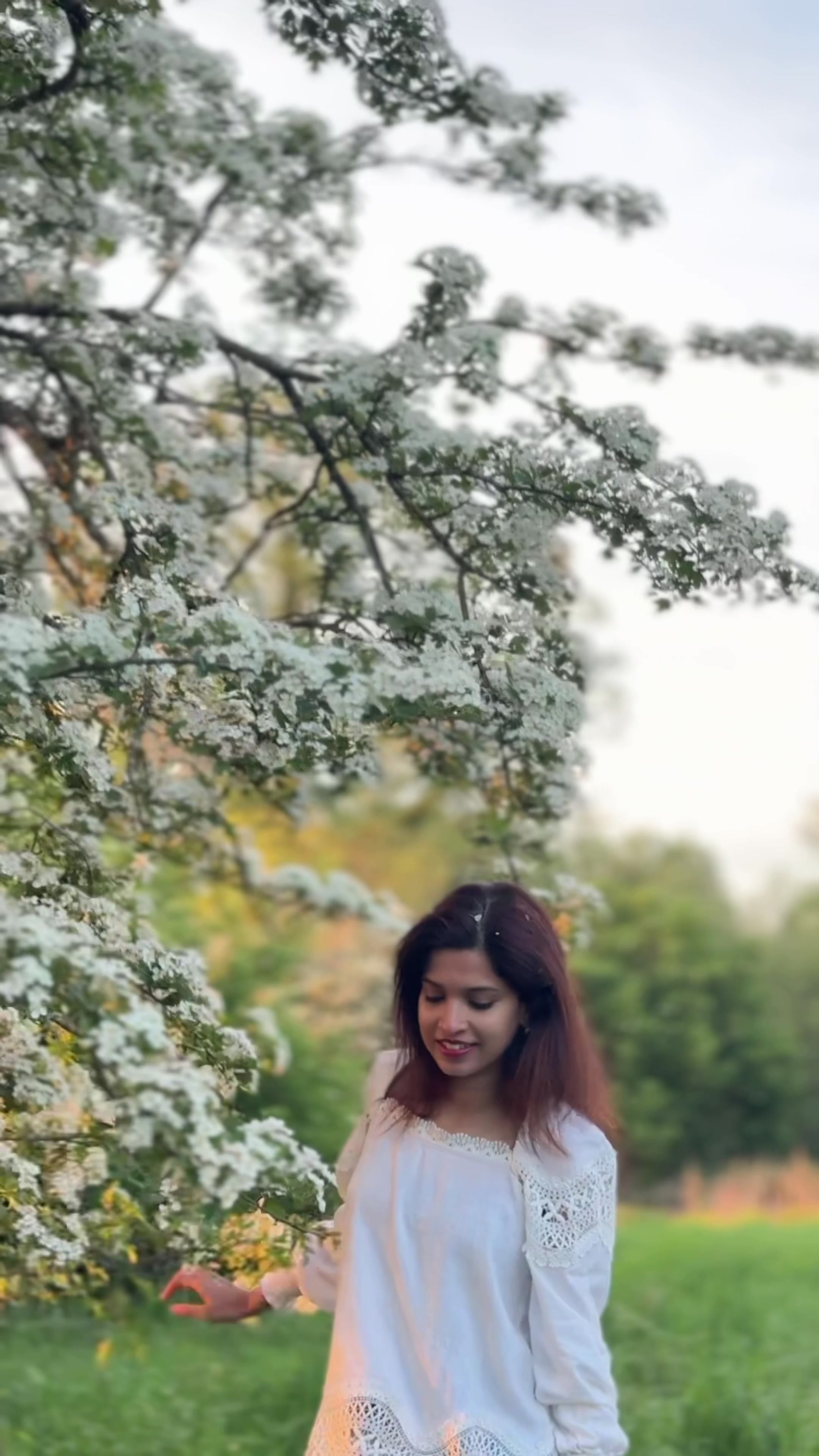 @annvarghese55