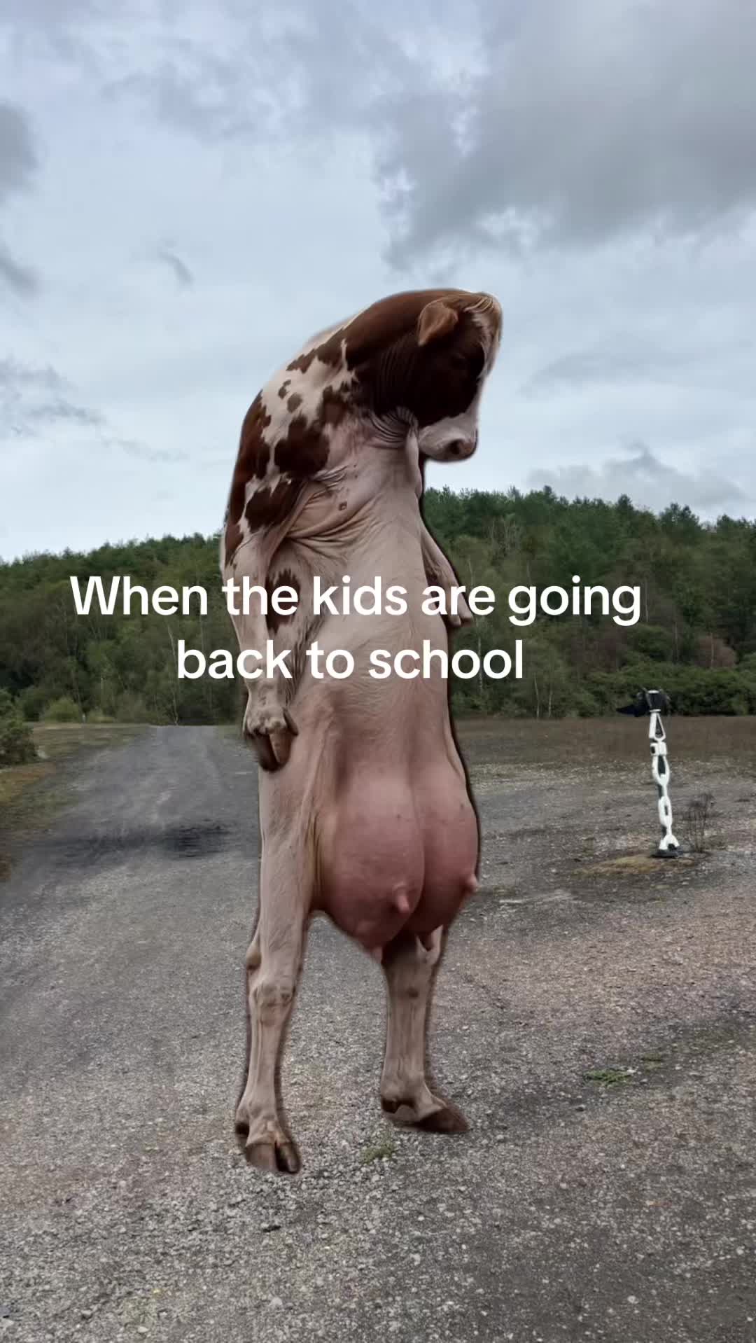 @rachel gabriel