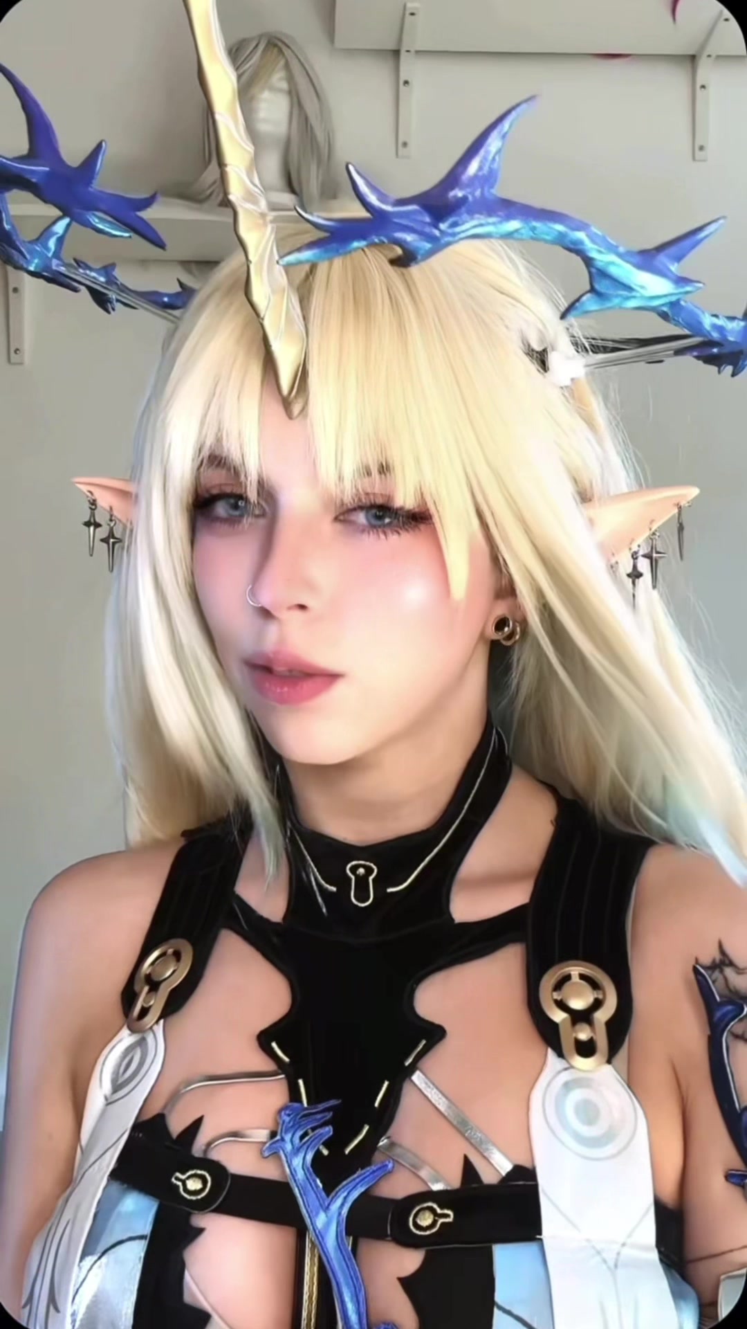 @Hydra🦊
