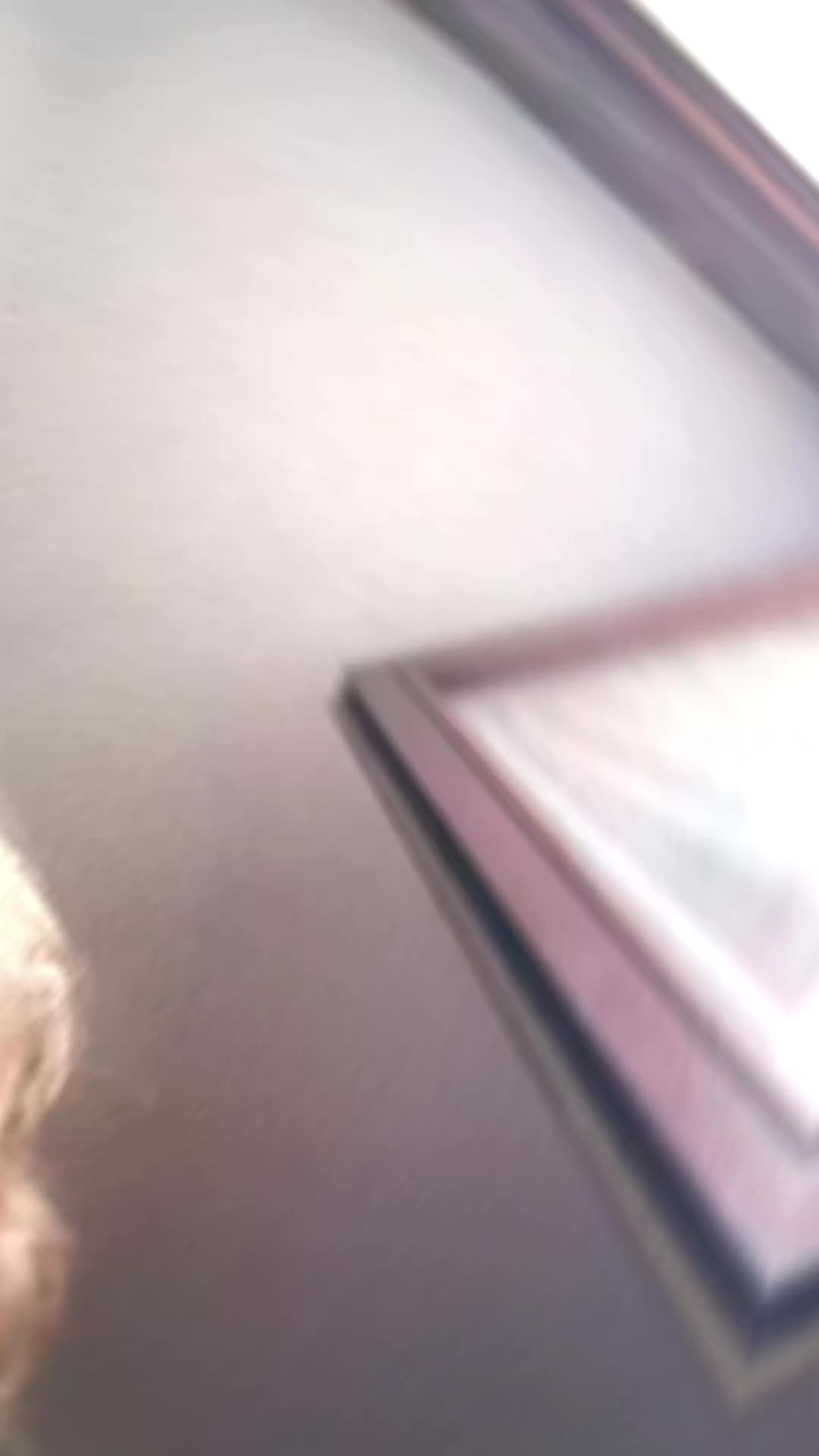 @moniquehenry680