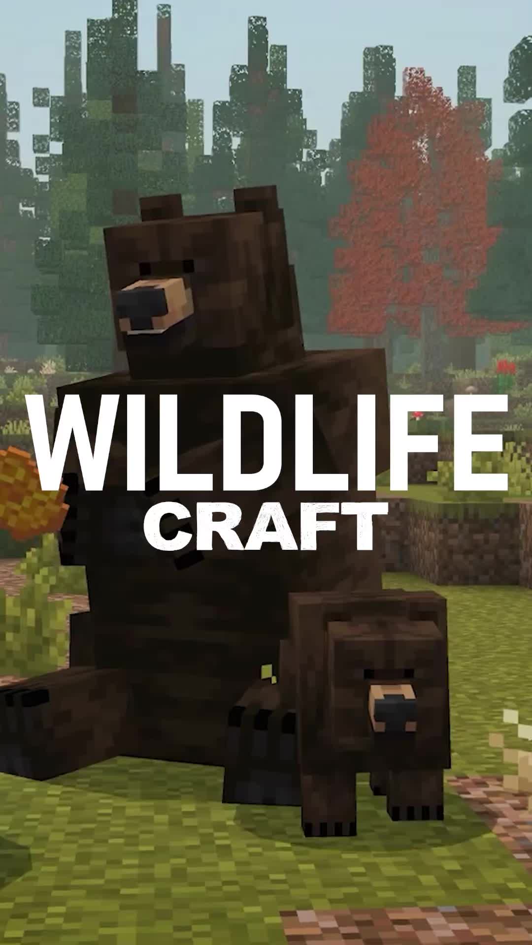 @CompyCraft