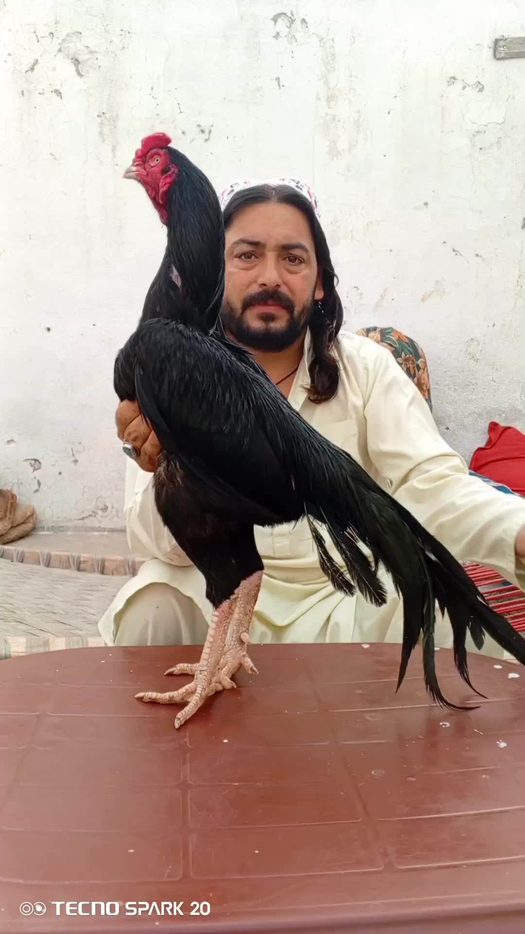 @Adnan Khan Aseel