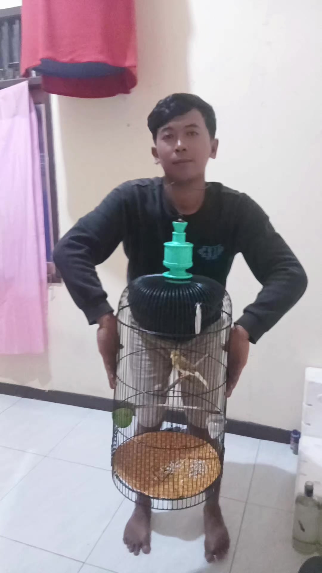@shofien Ristanti