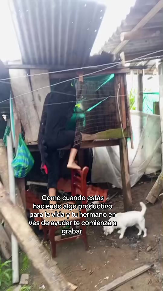 @Deyanira Zambrano