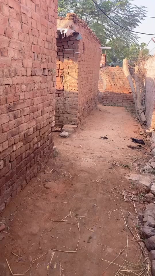 @🔥Phoollu ki vines🔥