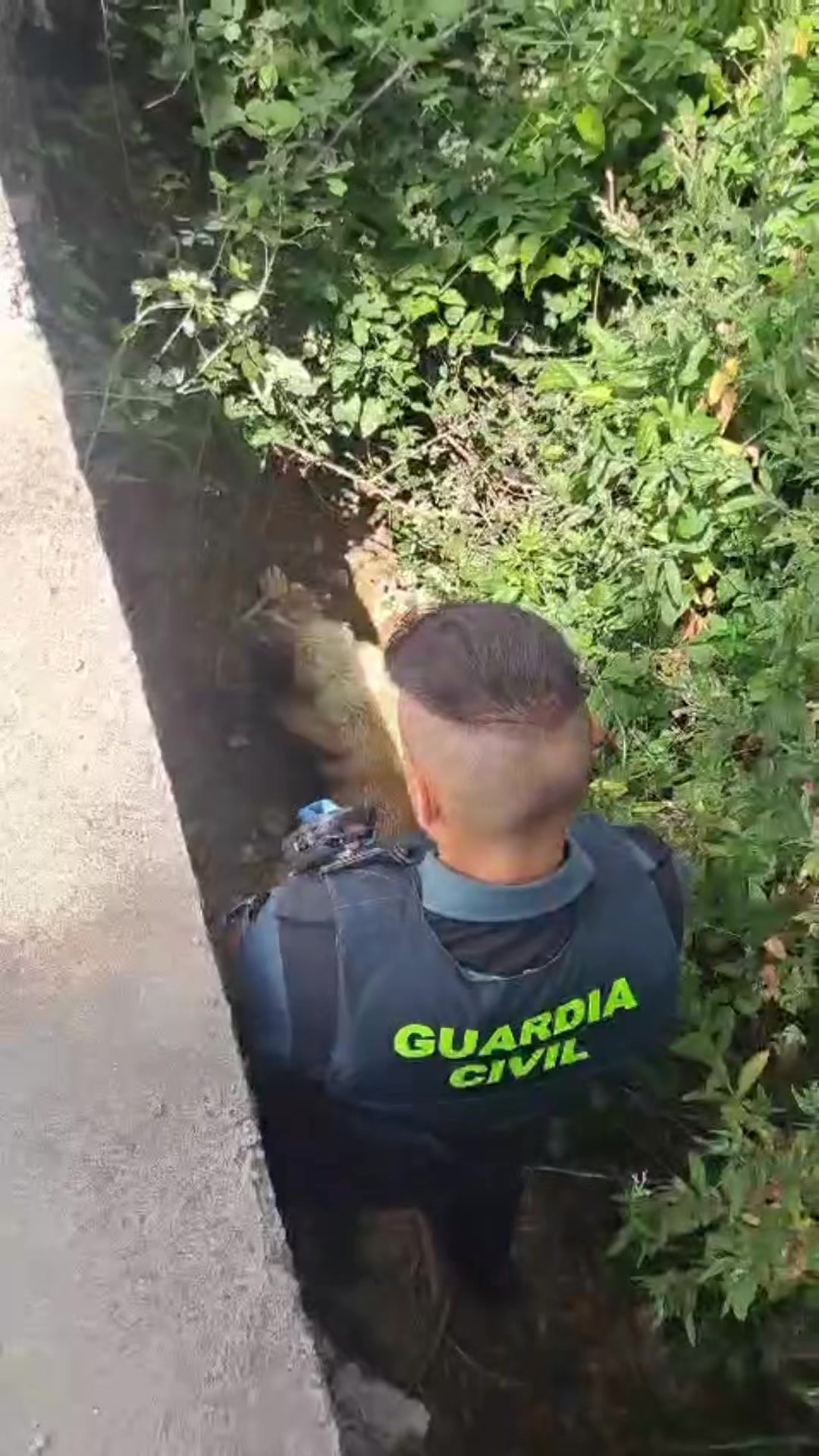 @Guardia Civil Navarra