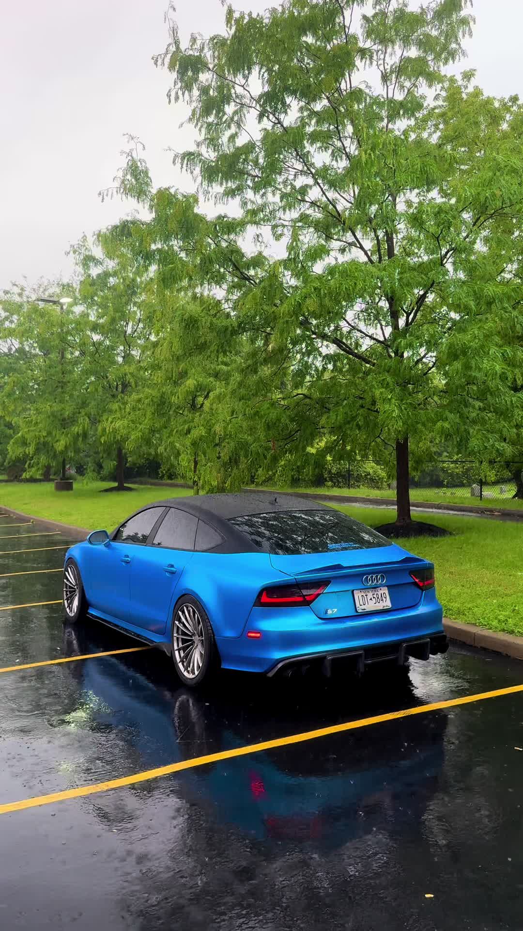 @wavykid.s7