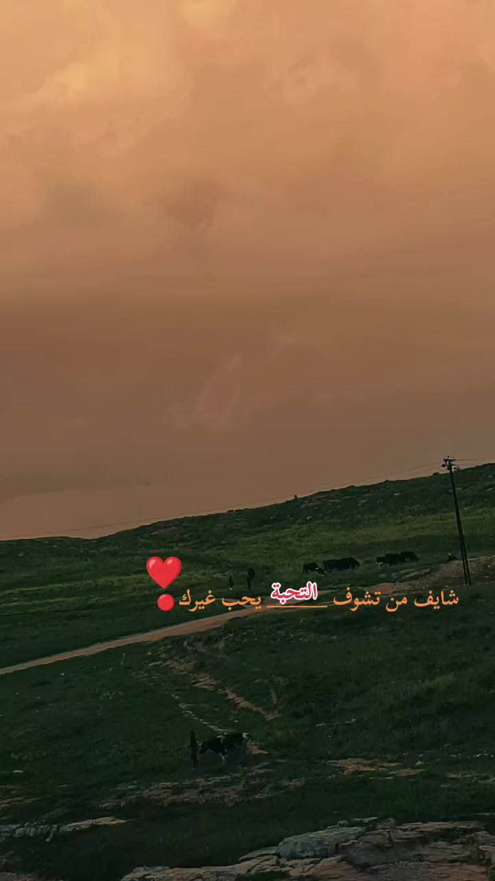 @☪️ابو طوفان ♓