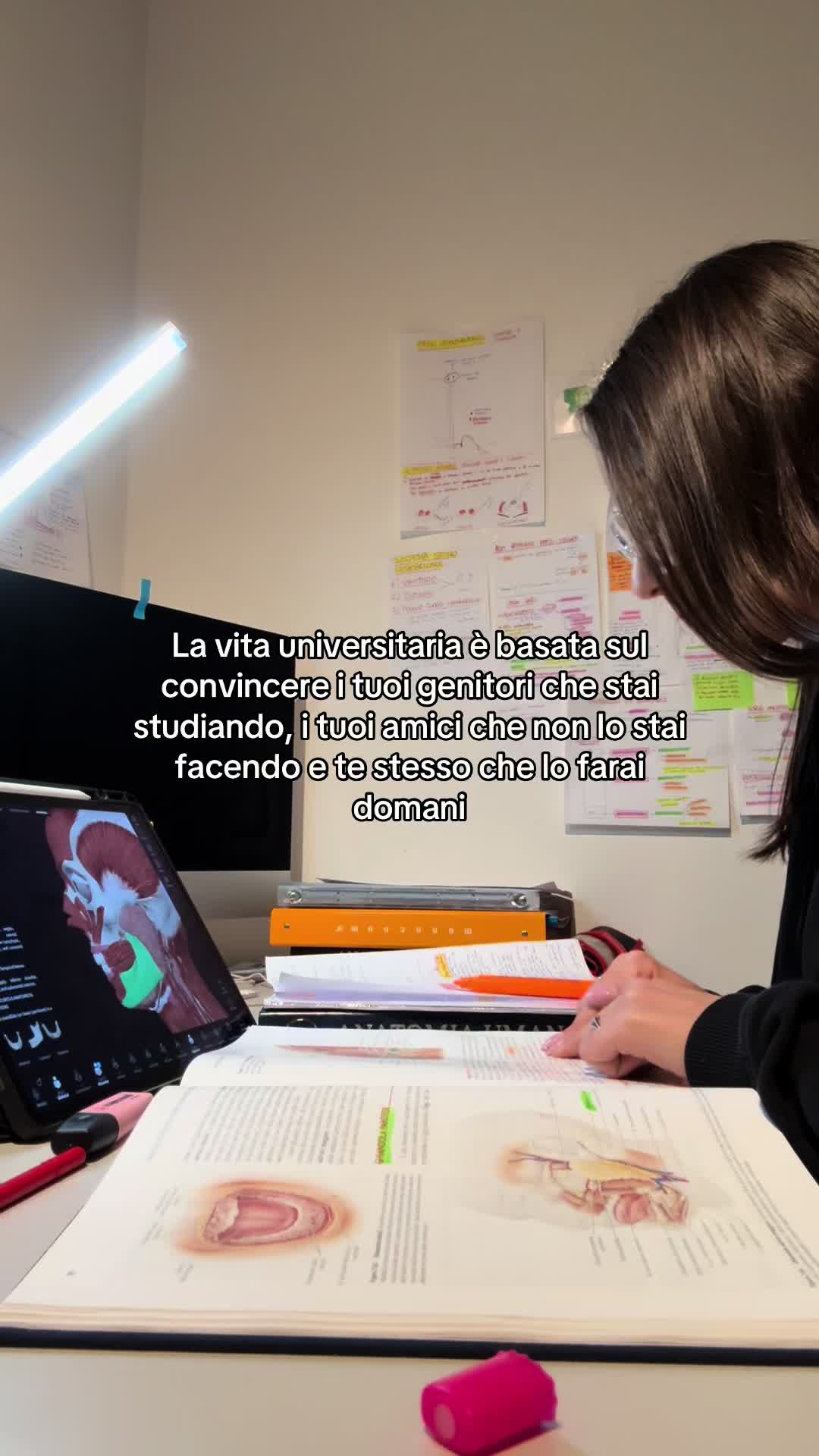 @Aurora | study tips📚