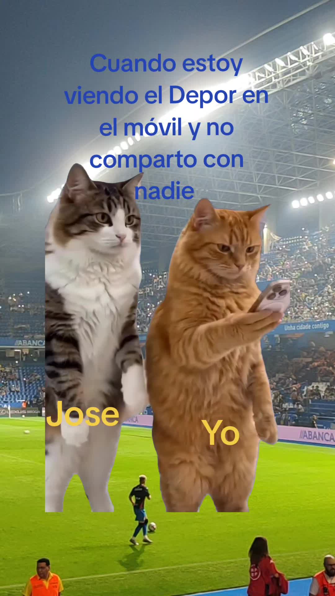 @Tania R V