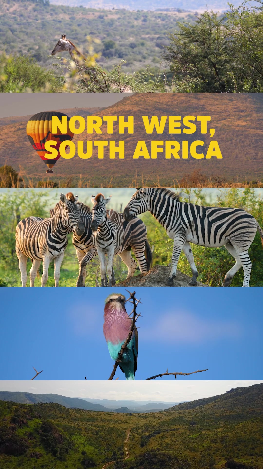 @South Africa UK