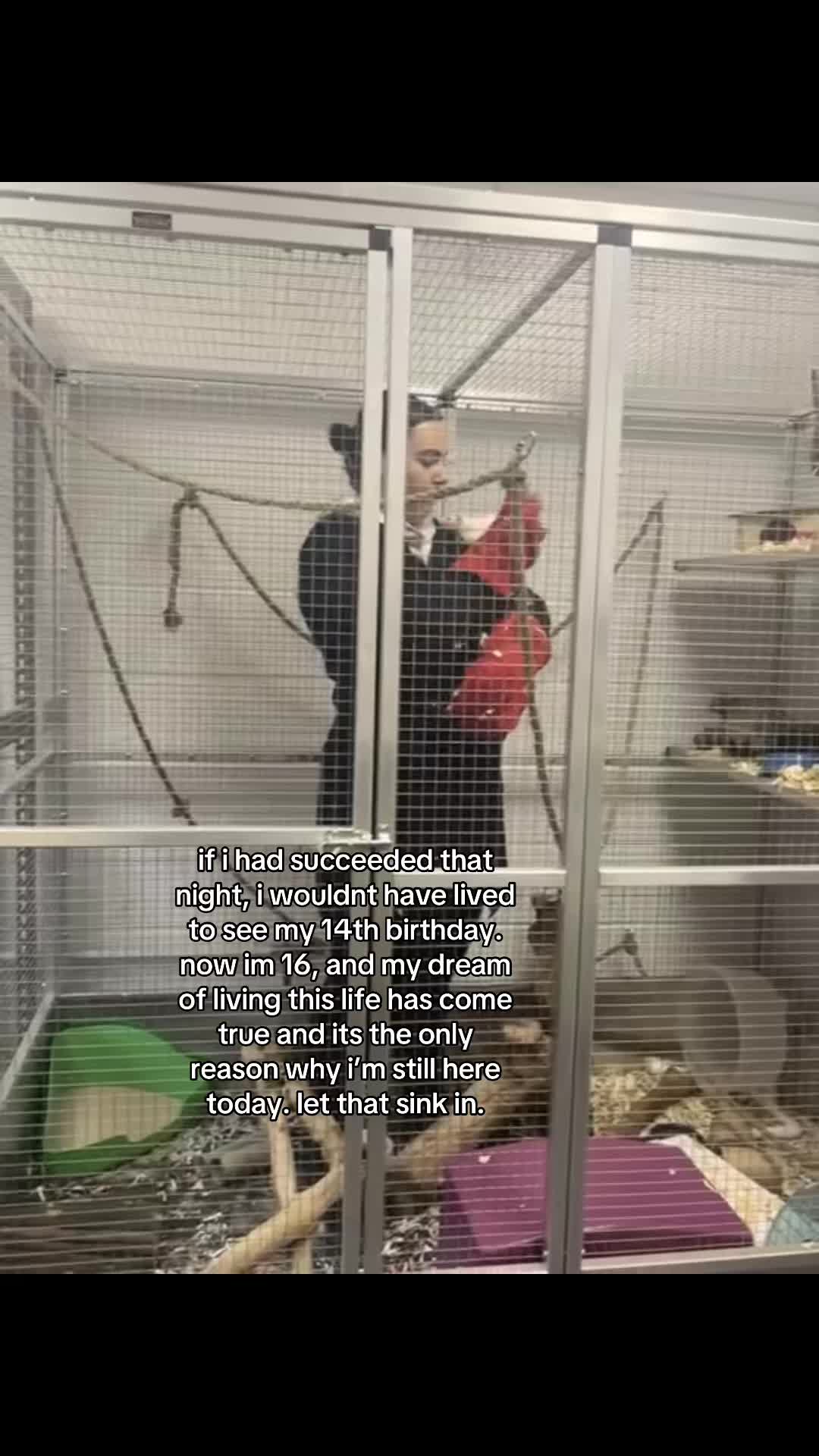 @mais