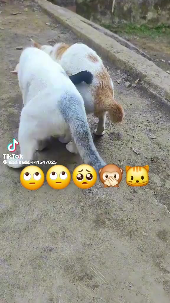 @አ.ራዘቅ