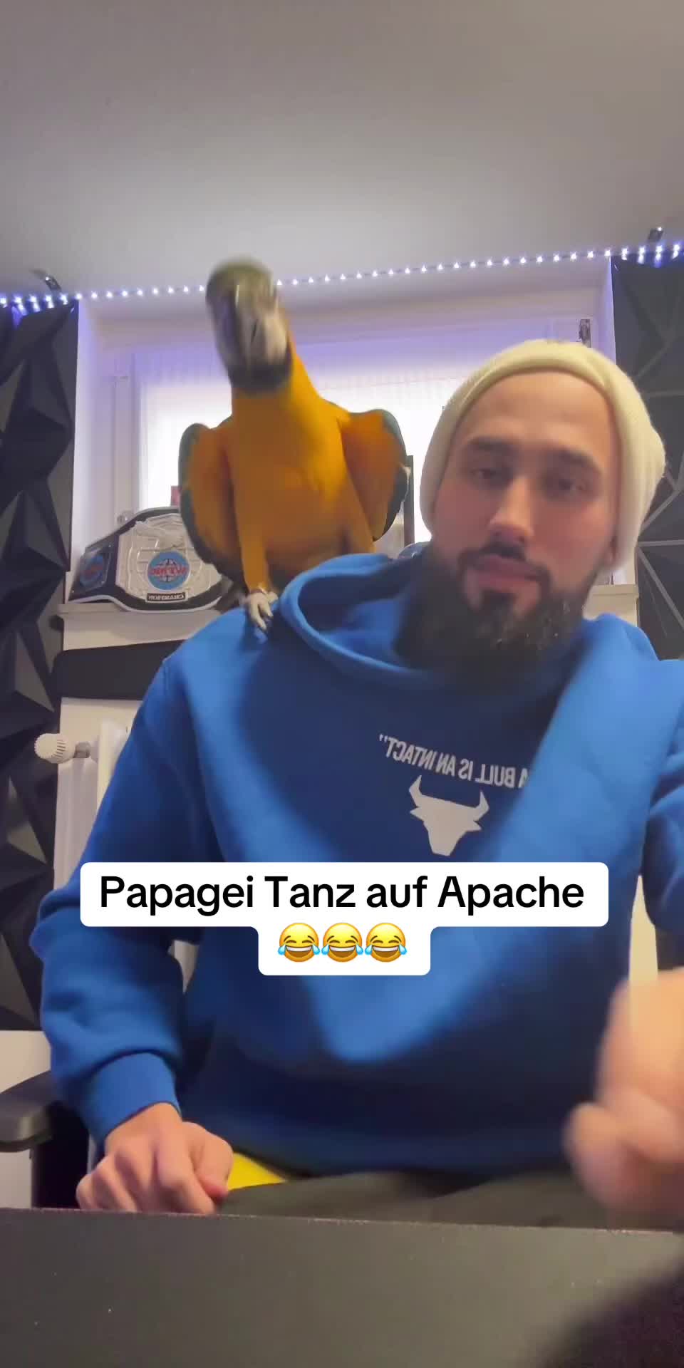 @Shankshaki