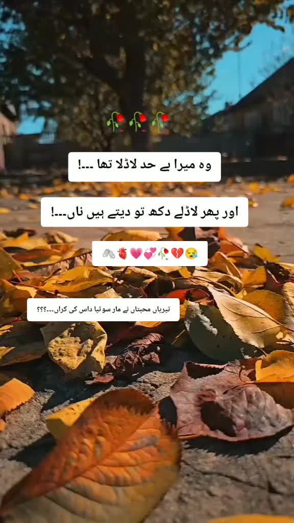 @Amalfairy2