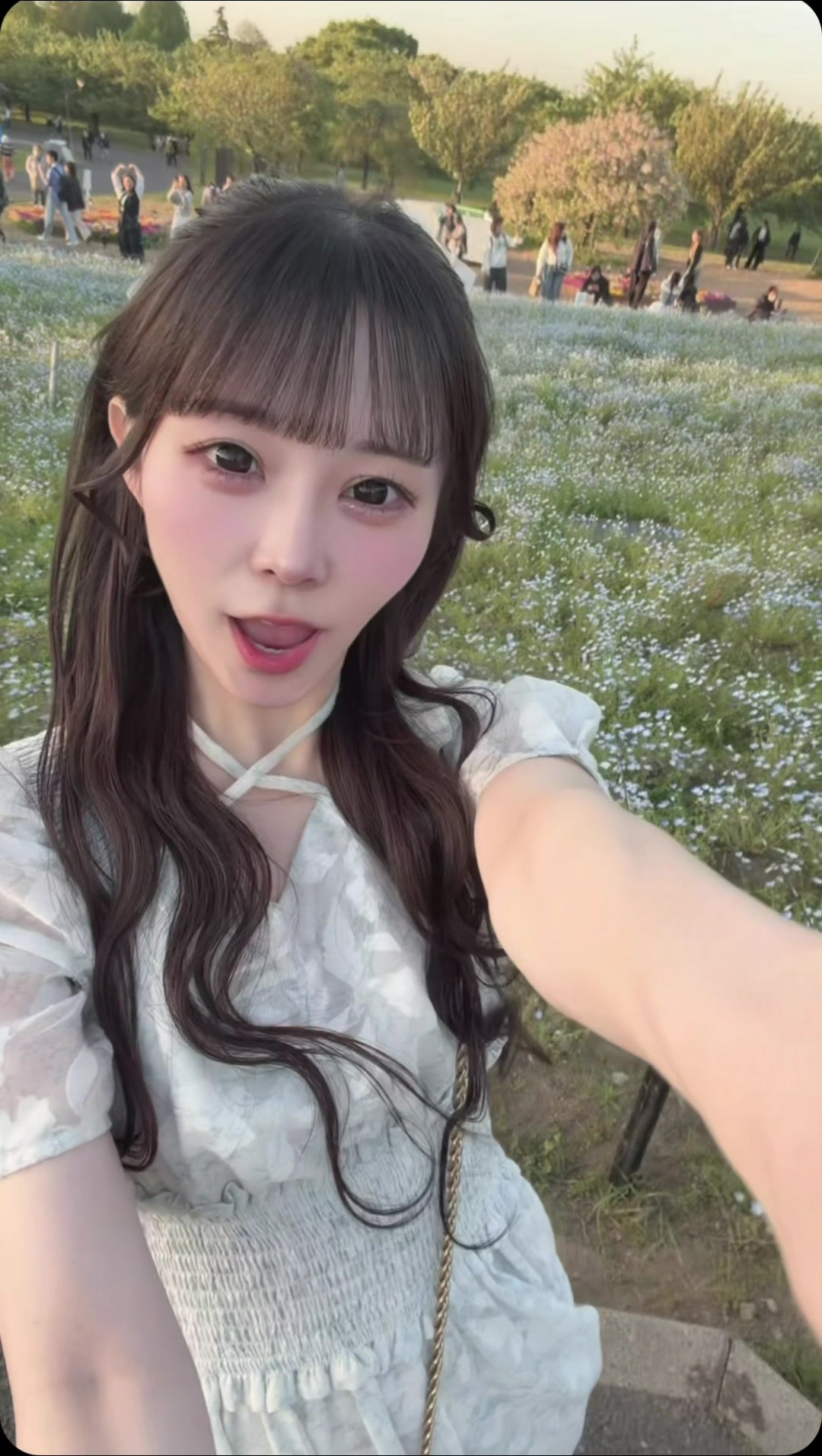 @八雲です
