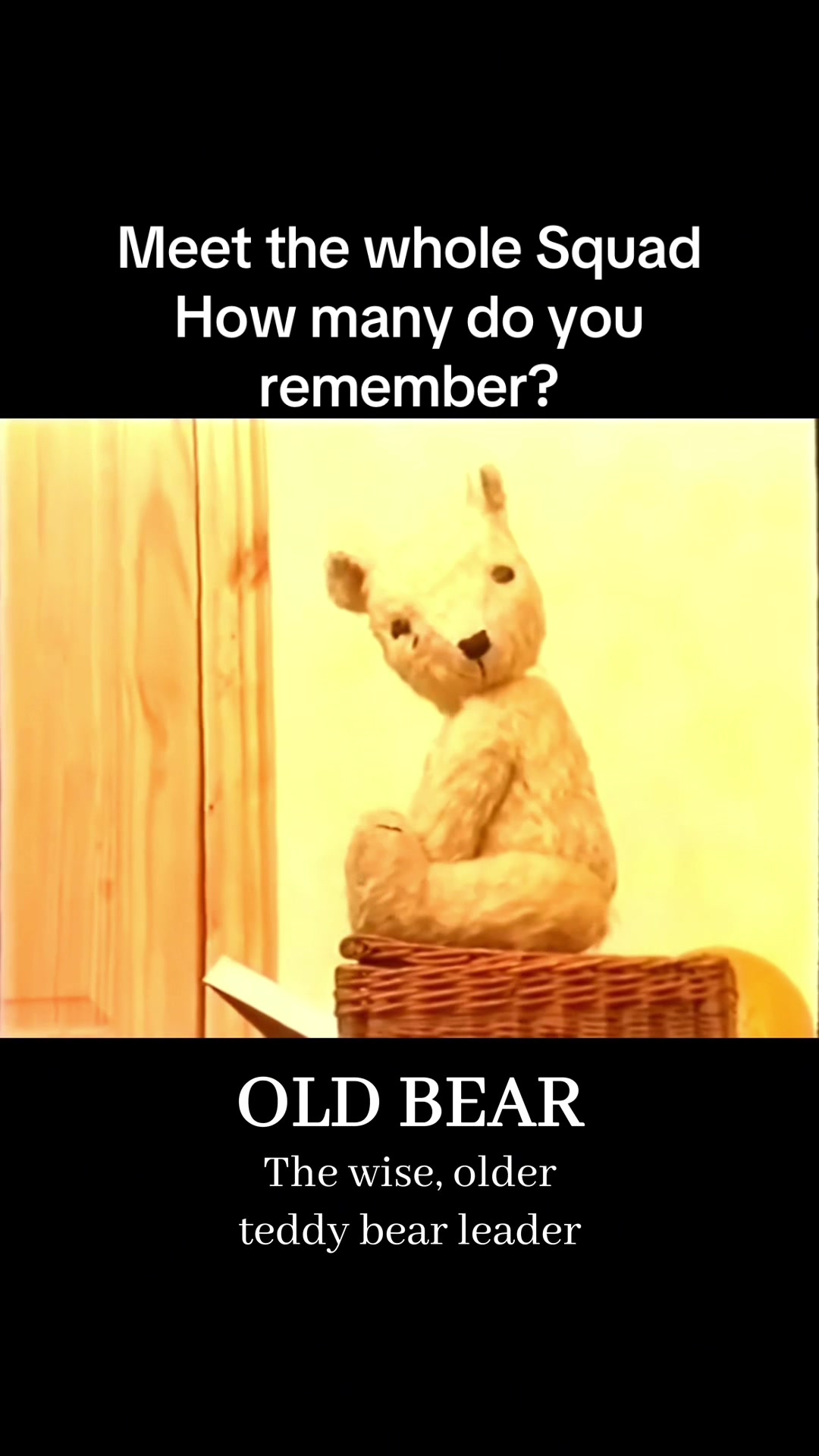 @OldBearSquad