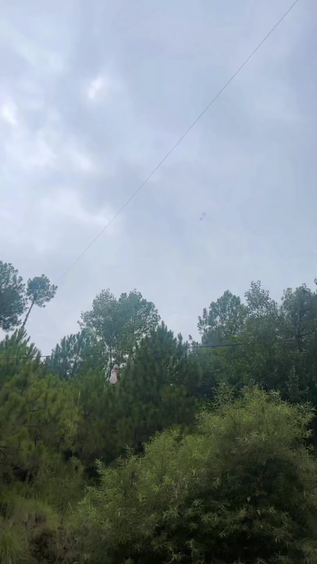 @Itz_Guriya55 live account💛✈️