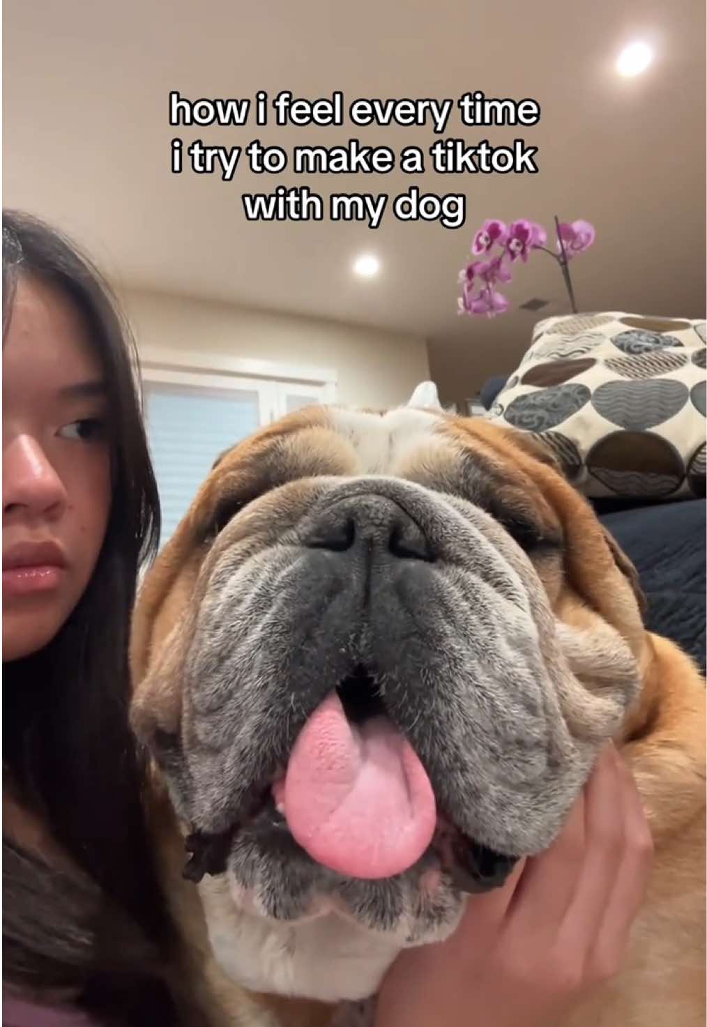 @Reggie the Bulldog