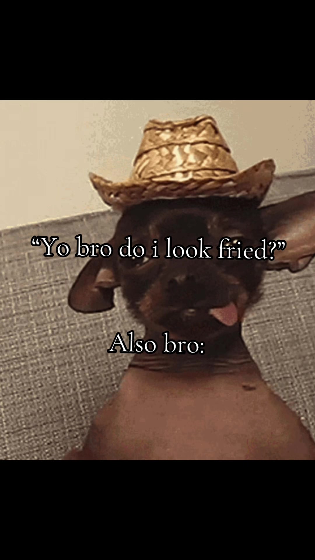 @AlbertEpstein