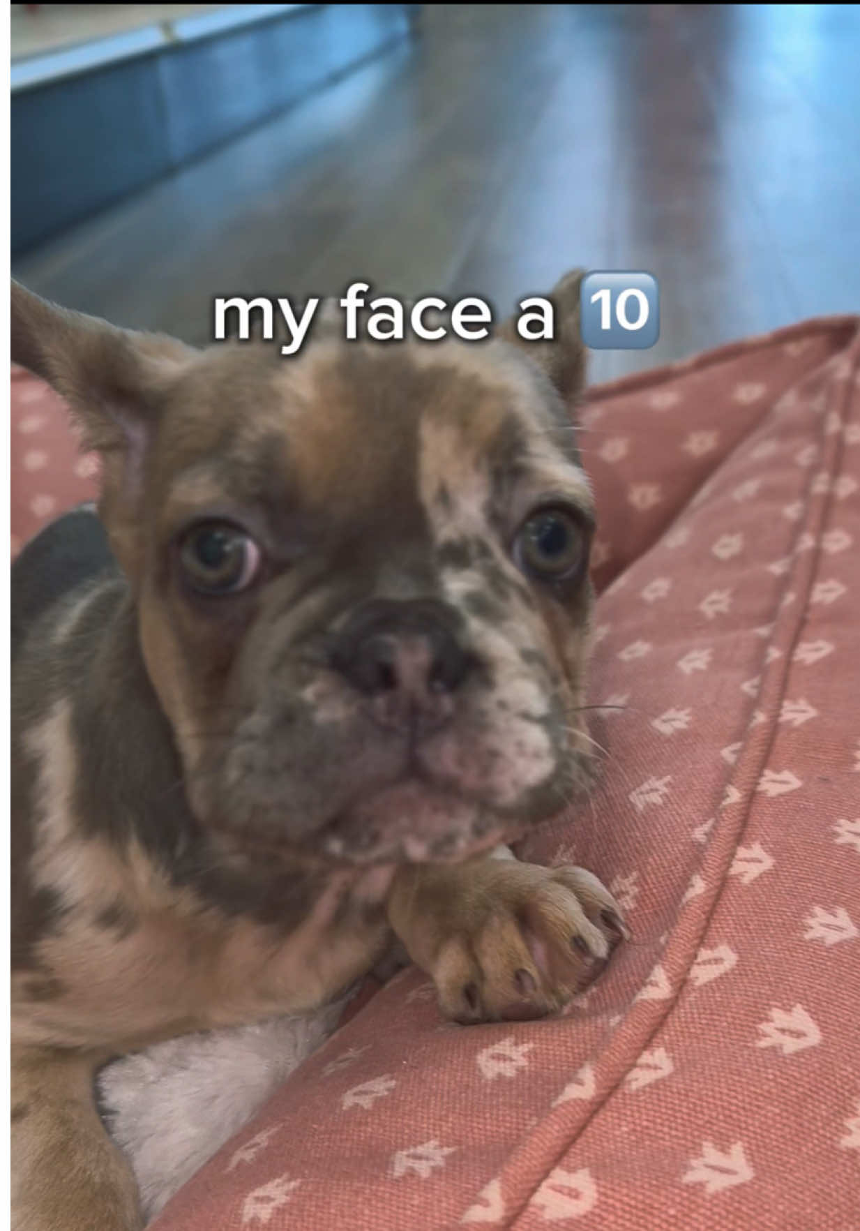 @Petland Oklahoma City