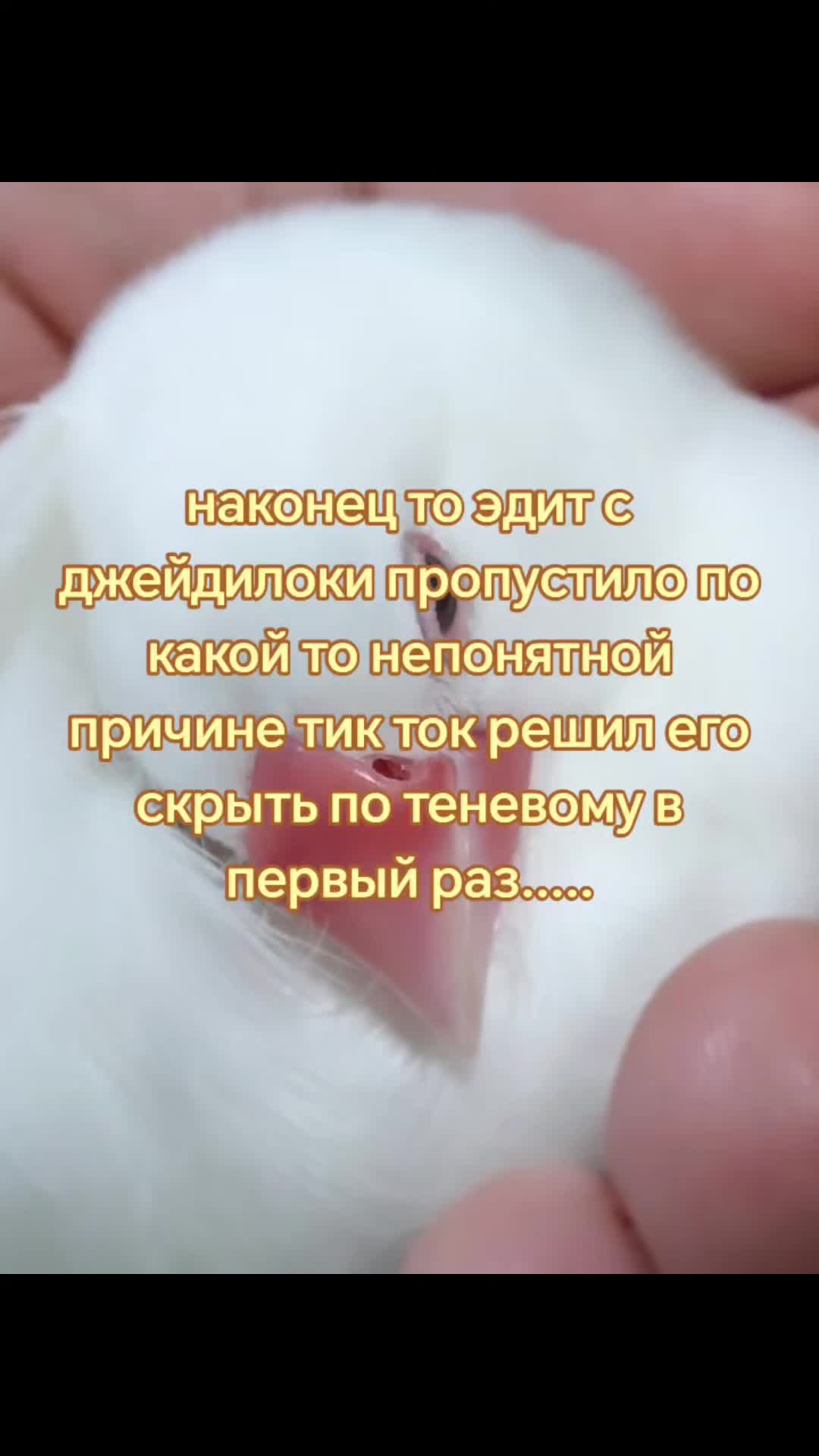 @𝓜арк )) ׁ𝜗 #1rlℒok1