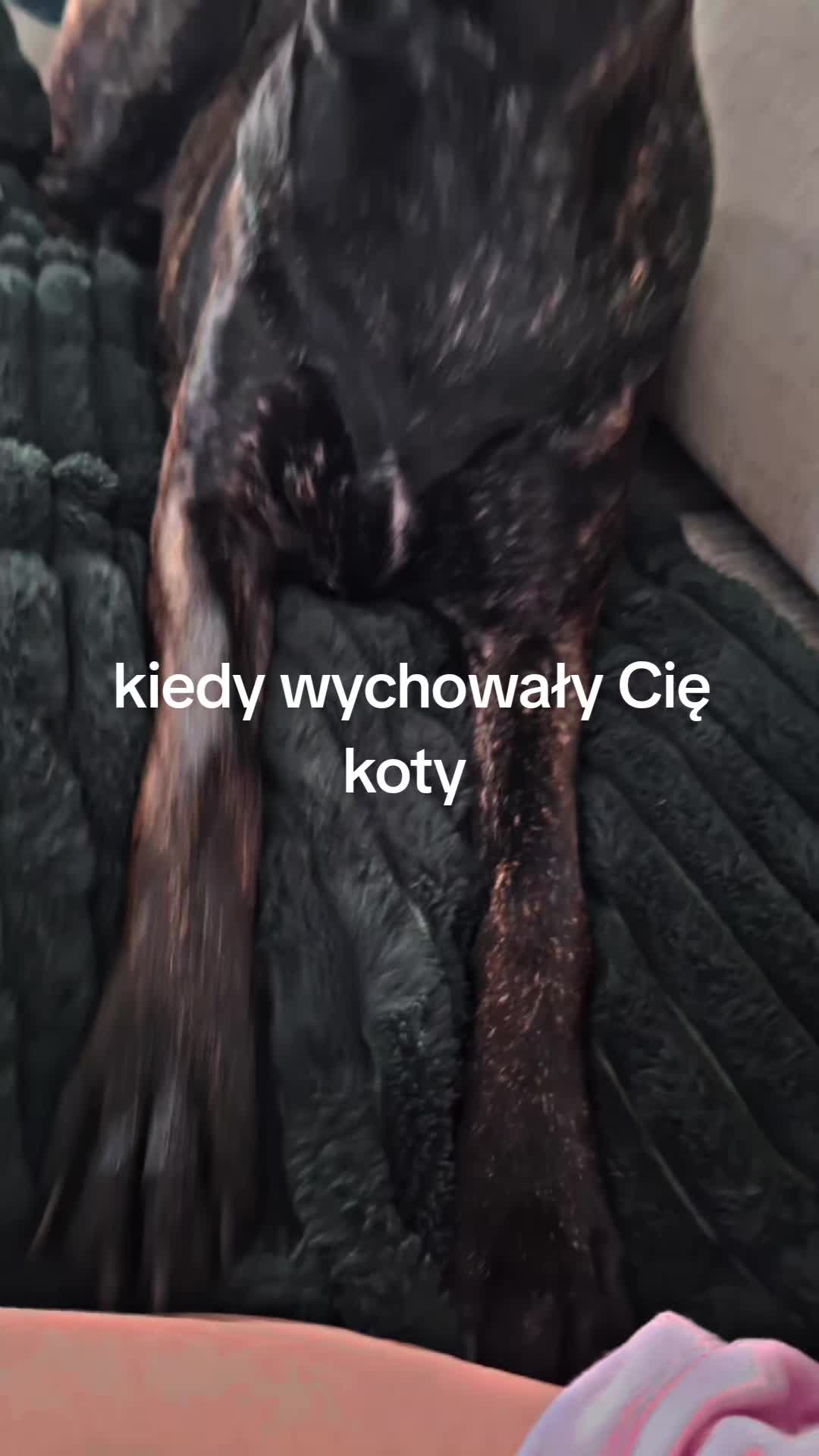 @Mała🫧