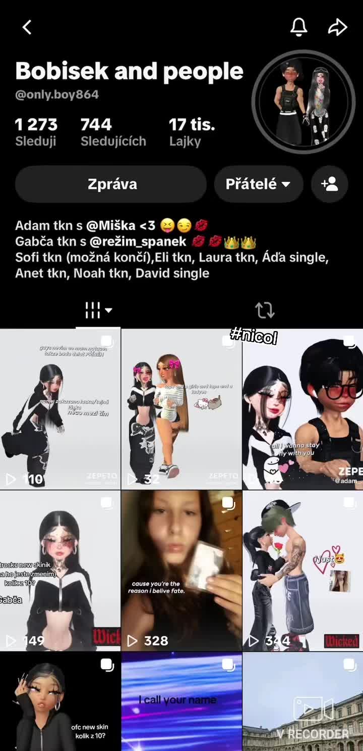 @Šest_kokotu
