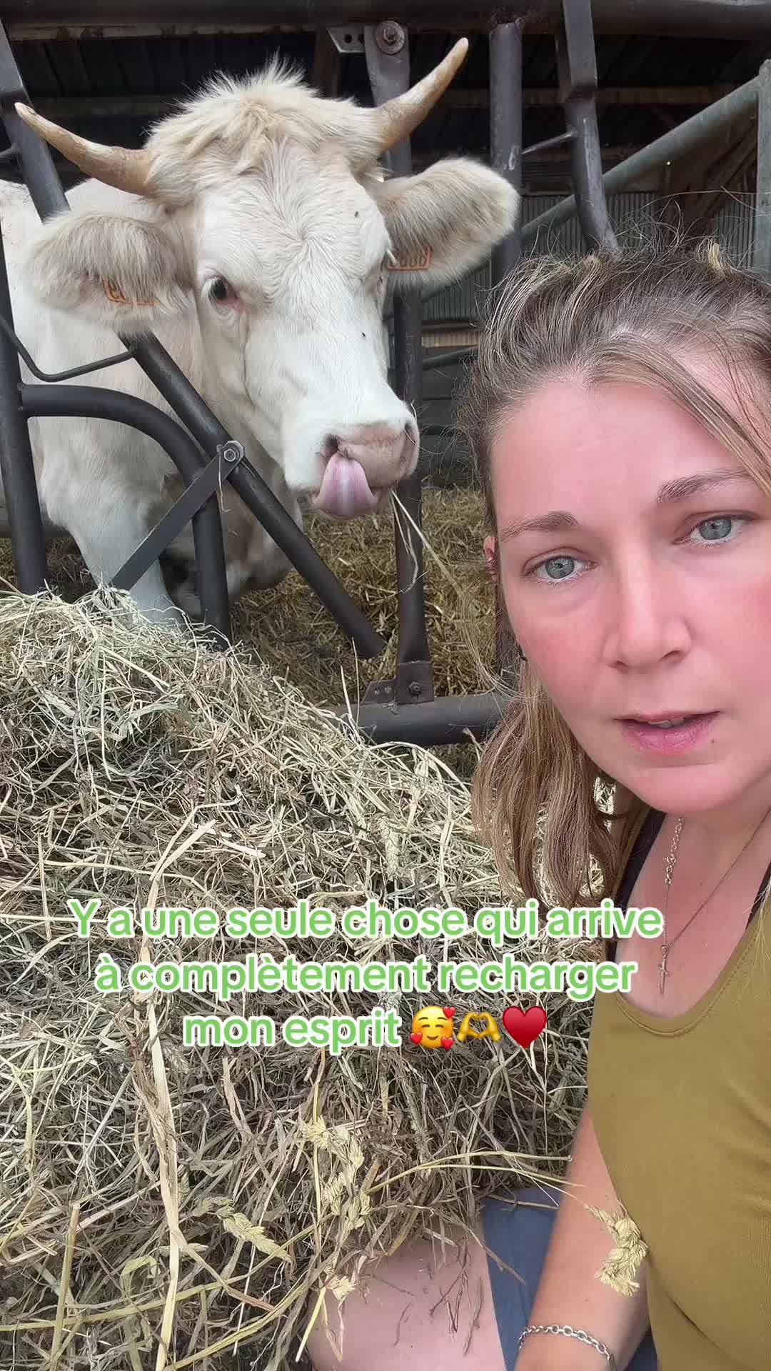 @ᏦᎥᎥᏦᏗᏗ 🌾🚜🐮
