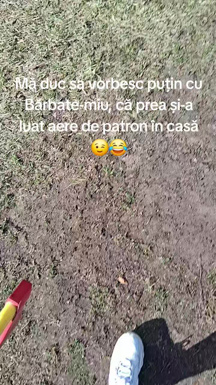 @Andreea Daniela