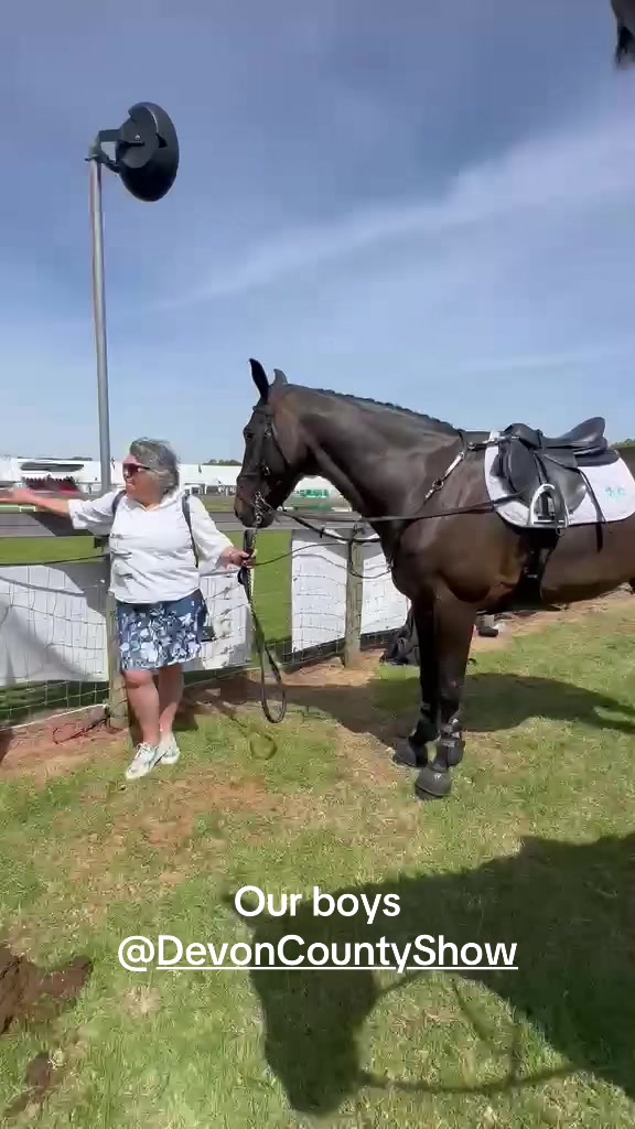 @markedwardsshowjumping