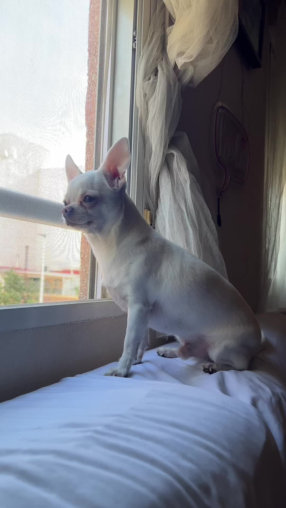 @Nuria GT 🦄