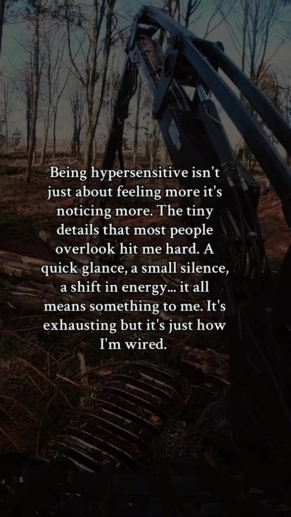 @🌲chase🌲