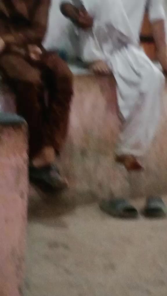 @Mussaddiq Hussain