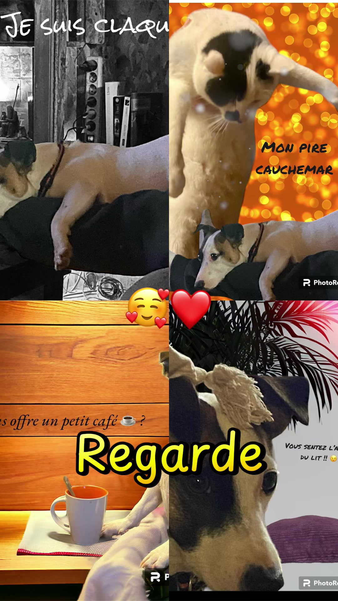 @Dr&ocirc;le de b&ecirc;te 😜
